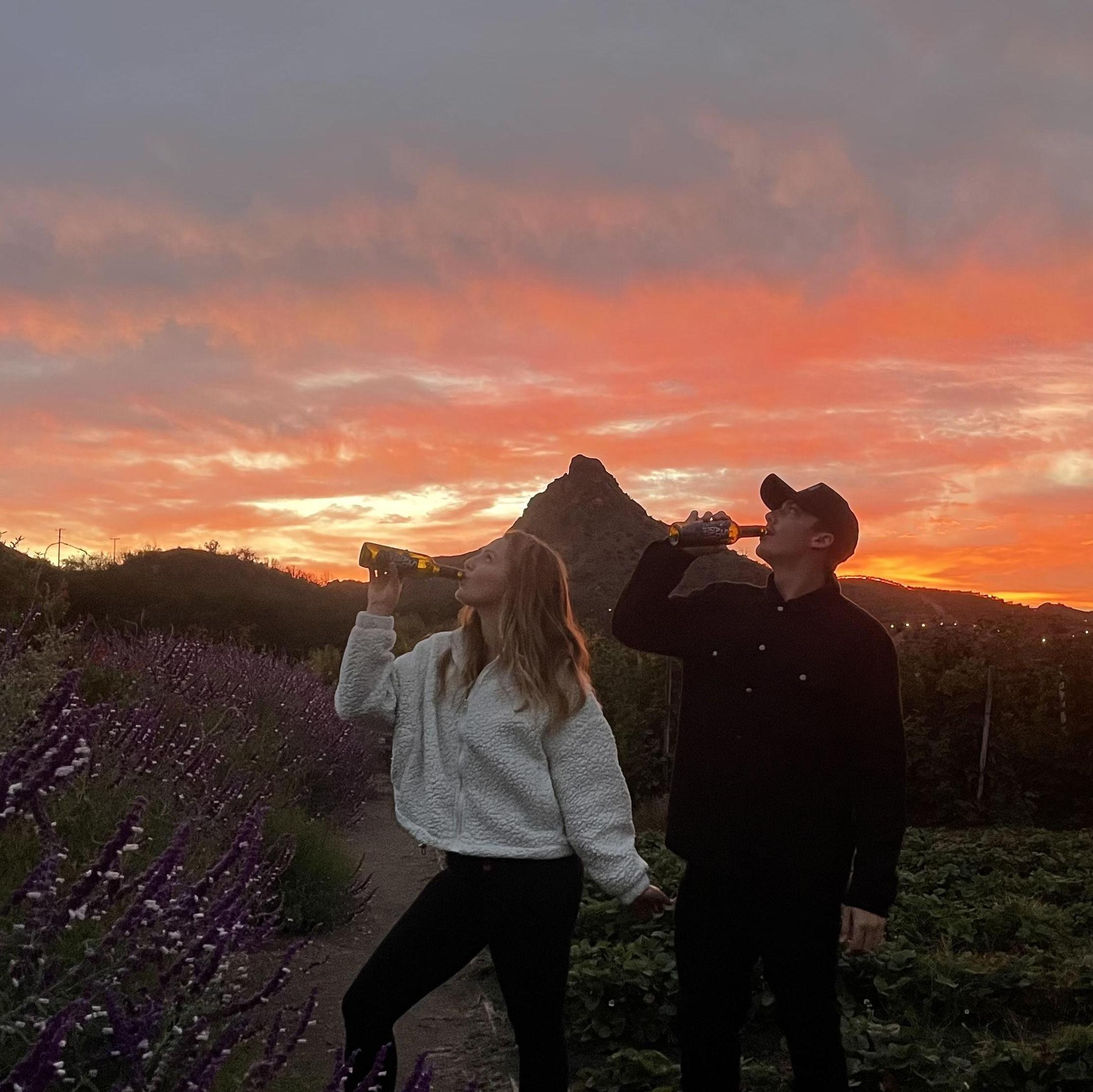 Malibu Wines