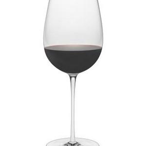 Williams Sonoma Reserve Cabernet Sauvignon Glasses, Set of 2