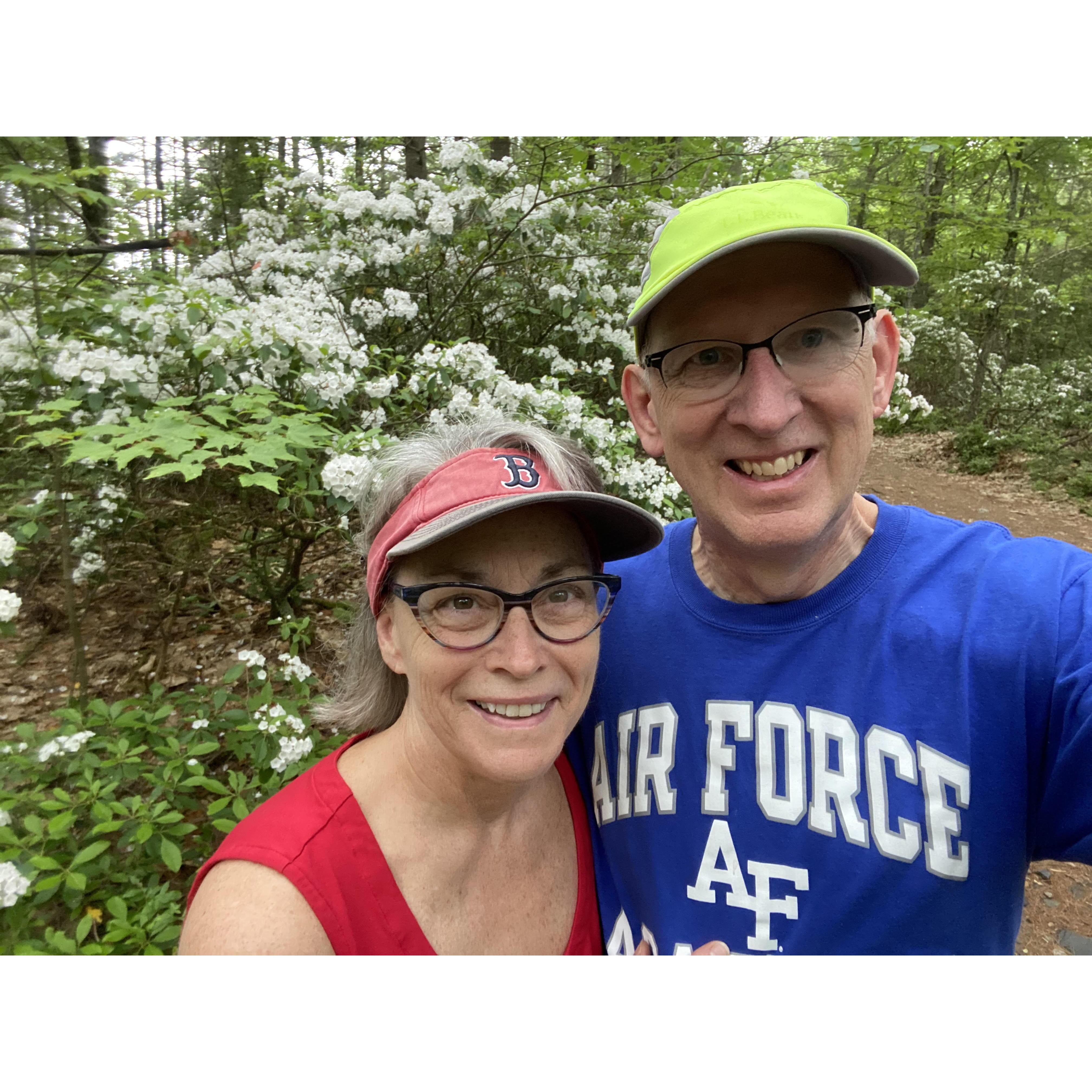 A hike up Black Mountain while the mountain laurel bloom