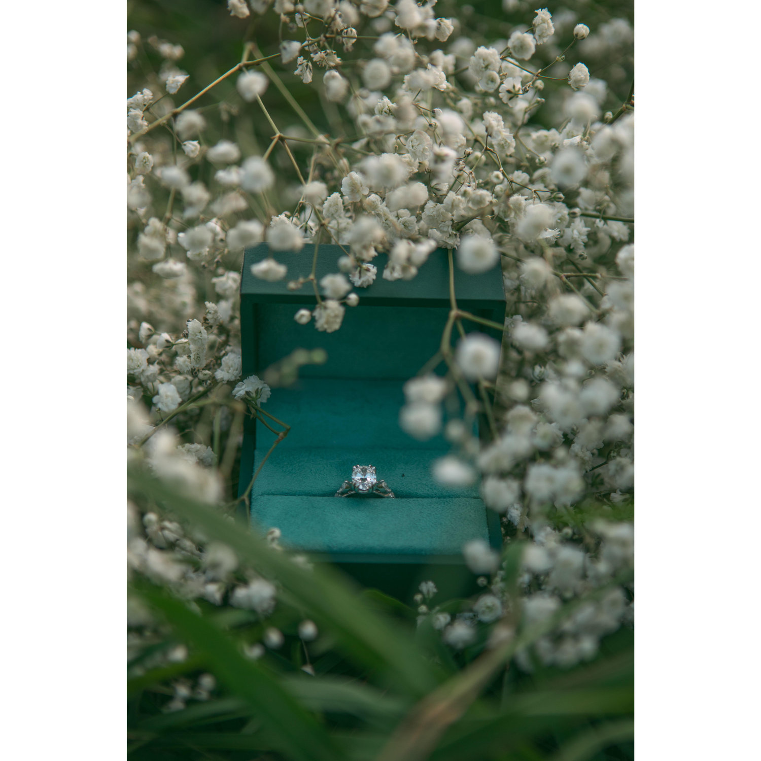 Photos from our Engagement Shoot Ethan booked at Foothills Parkway in TN