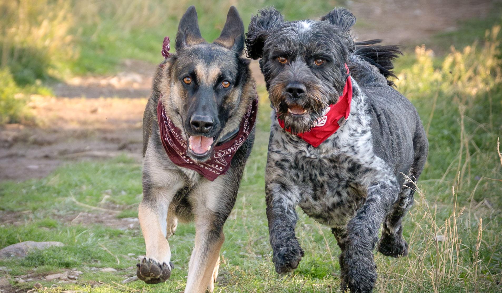 Hero Slideshow Image 4