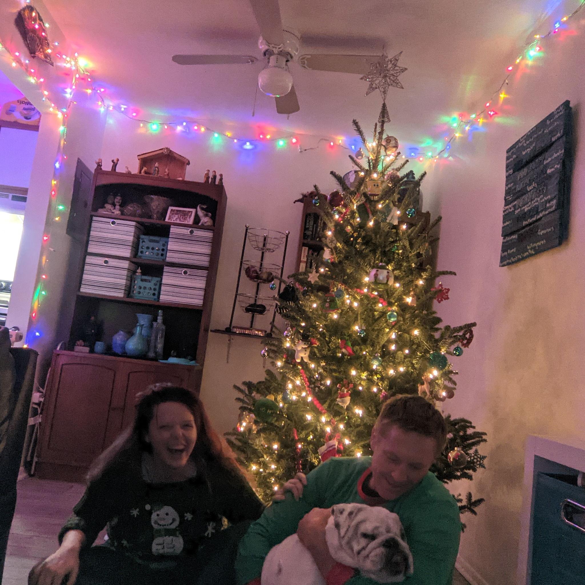 Our first Christmas w Roxy. December 2021