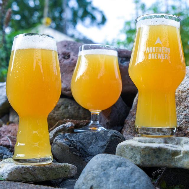 Haze For Days NEIPA Extract Beer Variety Pack