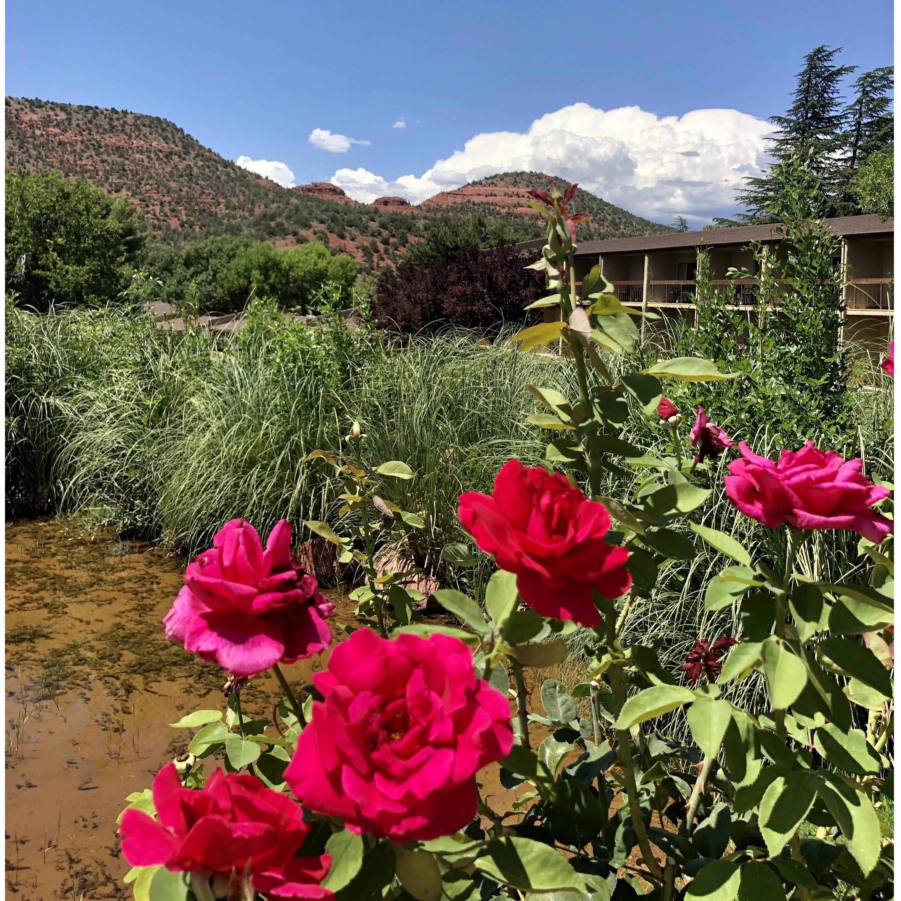 Picture of Poco Diablo rooms and scenery taken from the Rose Terrace