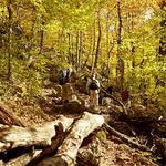Hiking at Gifford Woods State Park