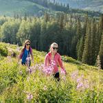Take a Hike