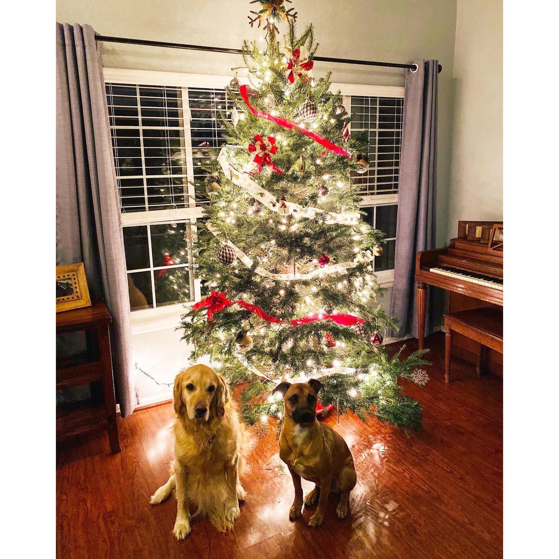 Our first Christmas