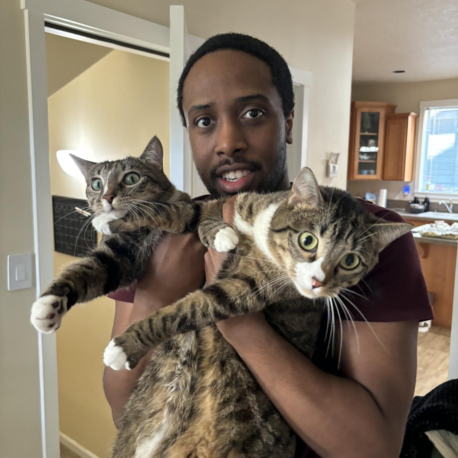 David with the kitties!