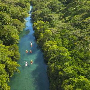 Honeymoon - Guided Kayaking excursion in Fiji