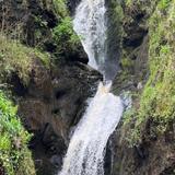 Glenariff Forest Park