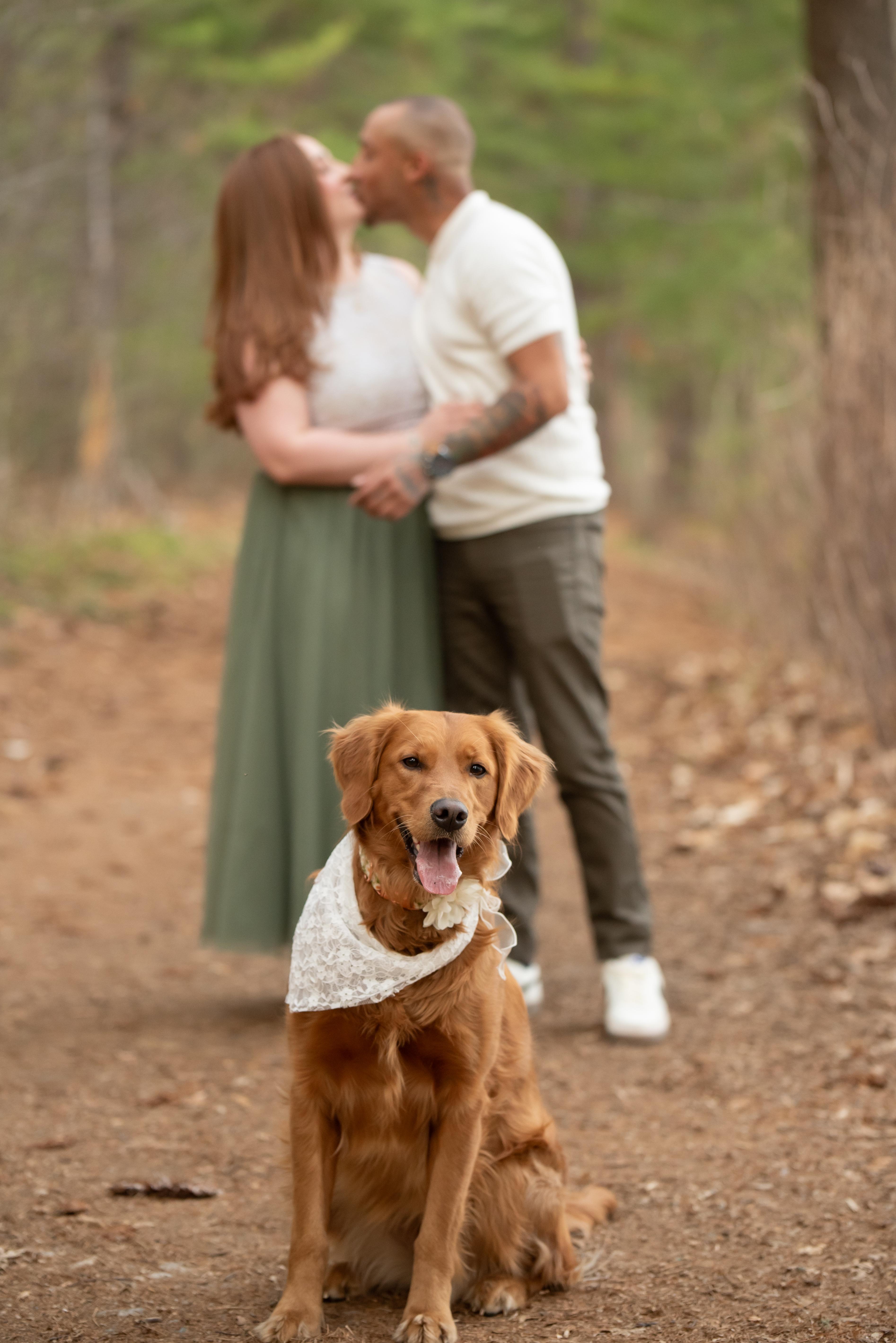 The Wedding Website of Emily Sinclair and Brendan De Lucia