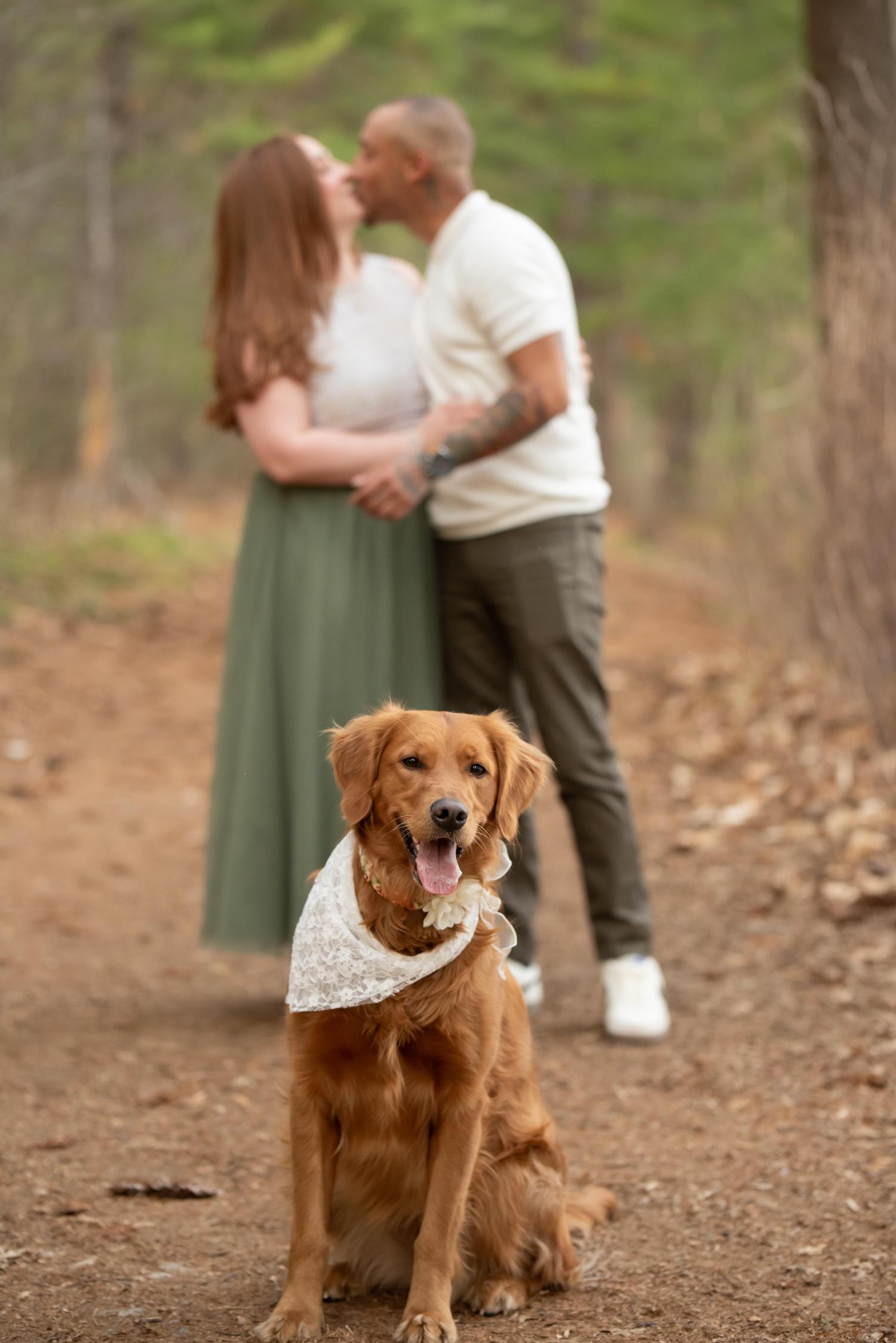 The Wedding Website of Emily Sinclair and Brendan De Lucia