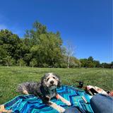 Tower Grove Park