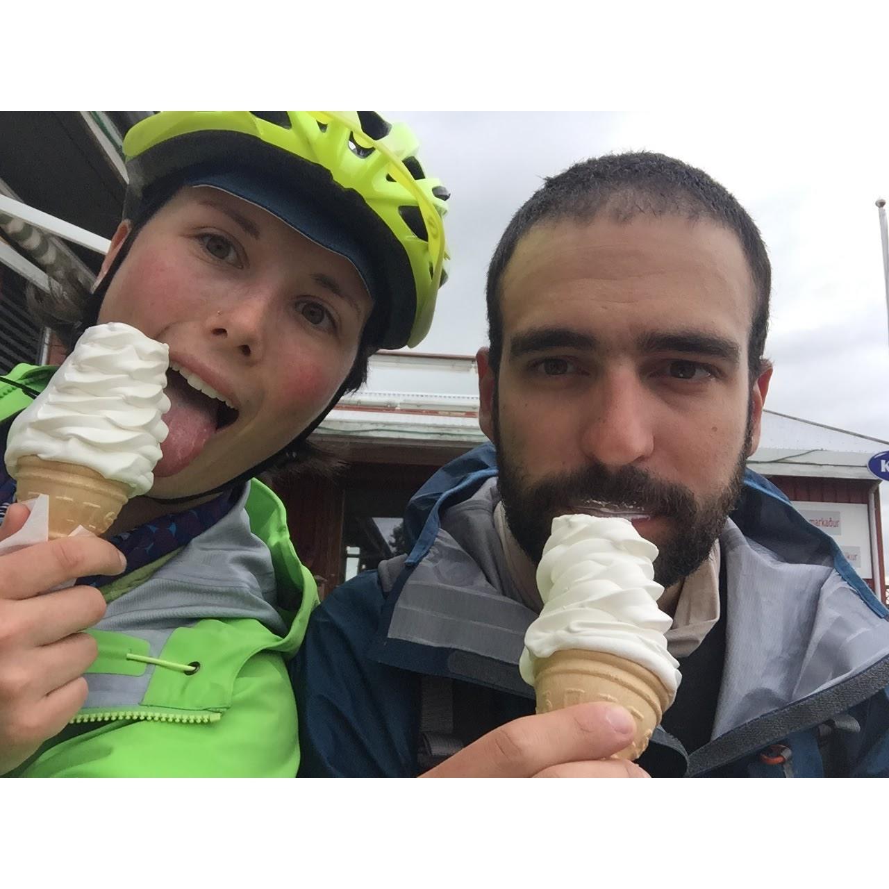 They only had vanilla at rest stops in Iceland!