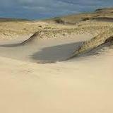 Art's Dune Tours