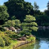 Japanese Friendship Garden of Phoenix