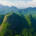 Parque Nacional da Tijuca - Tijuca National Park