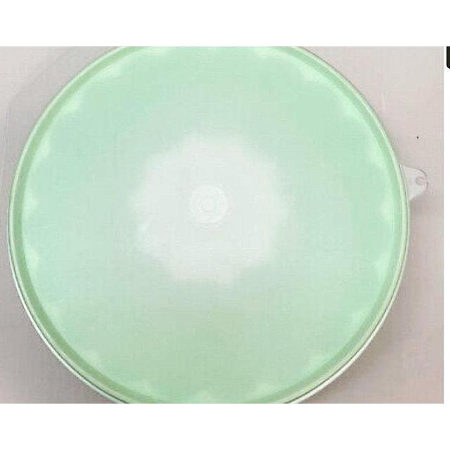 Tupperware Mint Green Lidded Jello Mold Jadeite Pastel Green Gelatin Mold