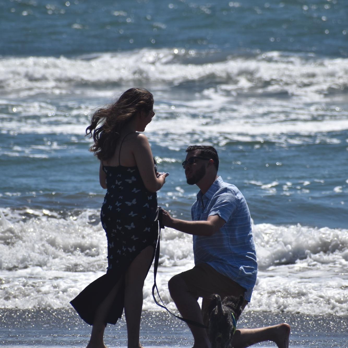 The perfect beach proposal at Stinson, California. The salty air, warm breeze, and our newly adopted puppy, Felipe with us.