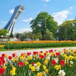 Jardin botanique de Montréal