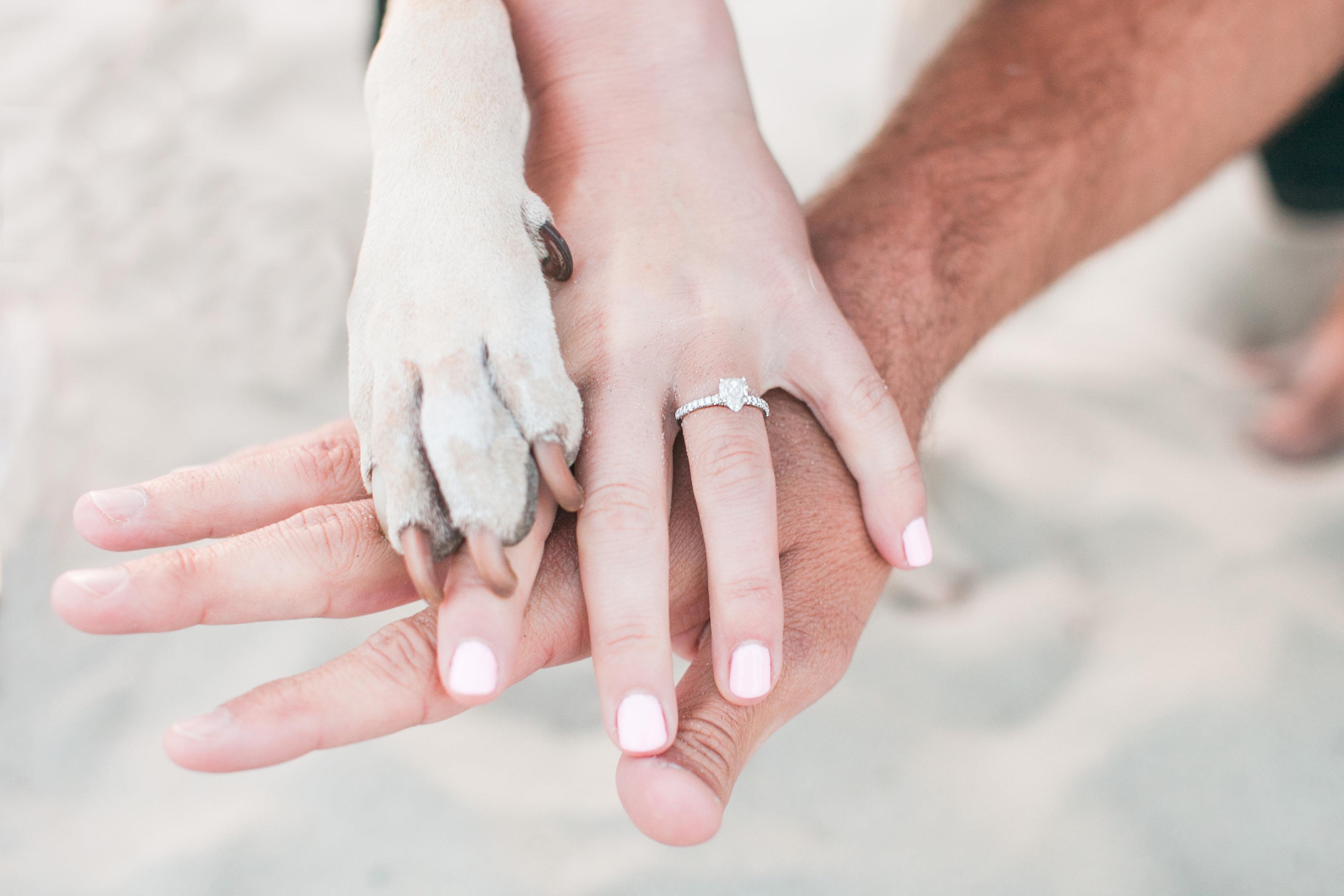 The Wedding Website of Brooke Sheely and Mark Halby