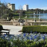 Hollis Garden