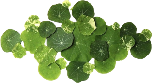 The Wedding Website of Caroline Gibson and Alex Hatoff