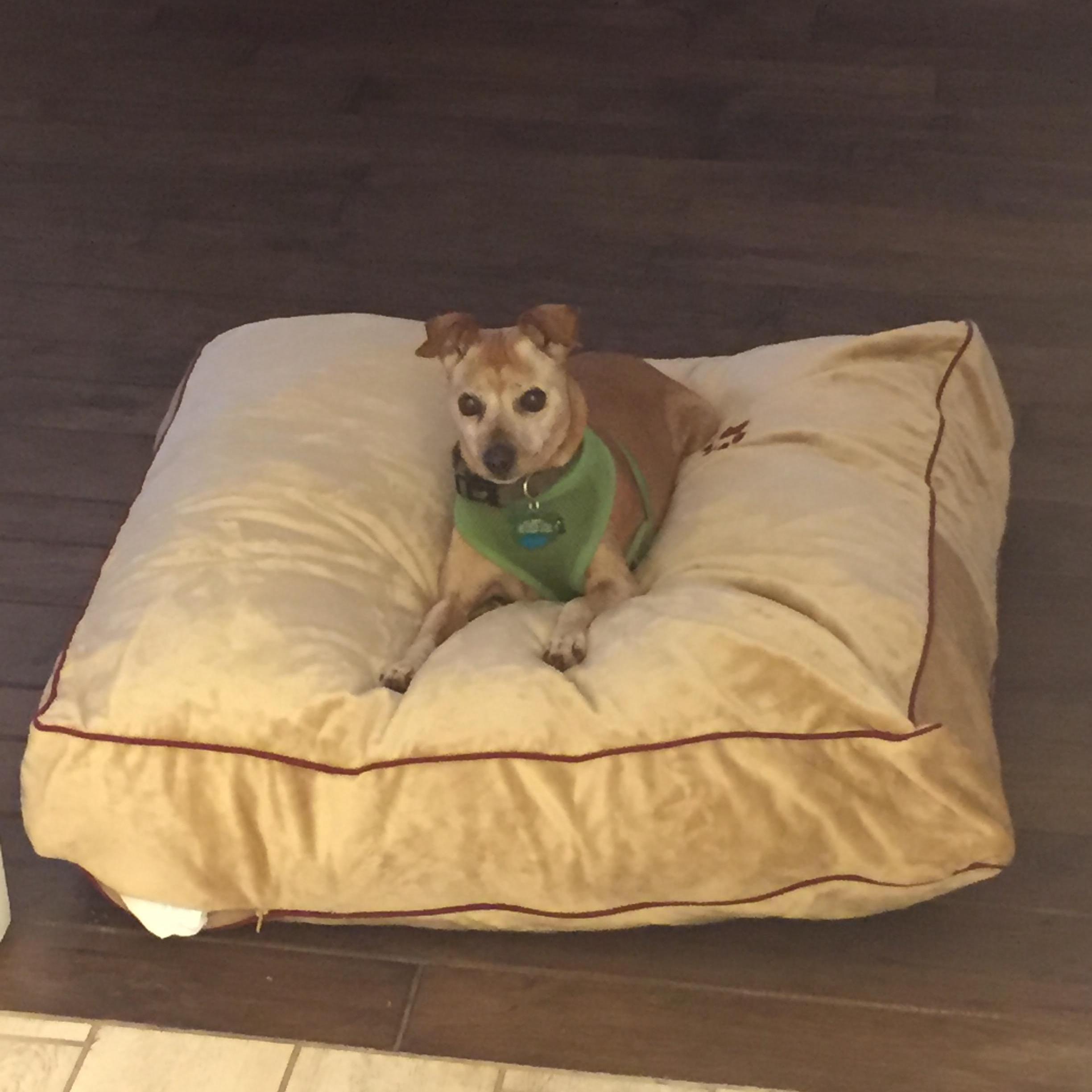 Albert also got luxury treatment during the engagement celebration.