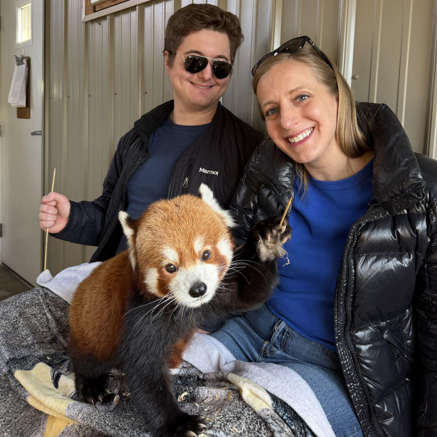 Red Panda Experience - Timbavati Wildlife Center, Wisconsin (Valentine's Day 2026)