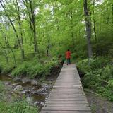 Washington Crossing Historic Park