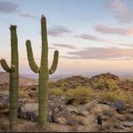 Hike South Mountain Park and Preserve