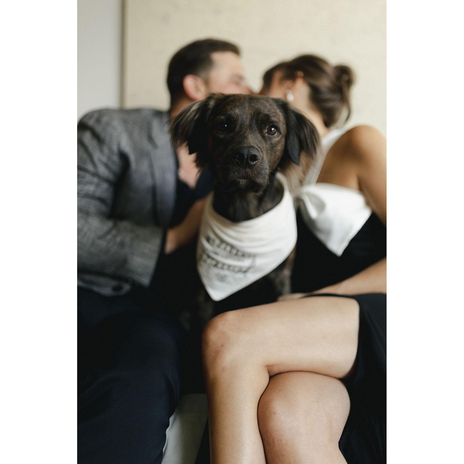 Our beloved dog, Rye!