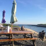 Sesuit Harbor Cafe