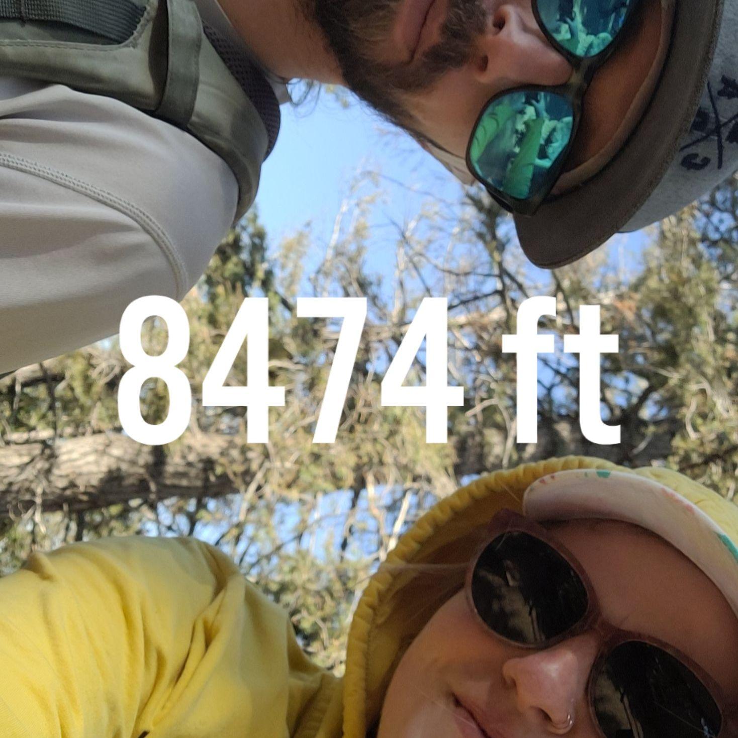 We made it to the top of The Incline in Manitou Springs, Colorado, even if Corben had to literally push my butt up the mountain!