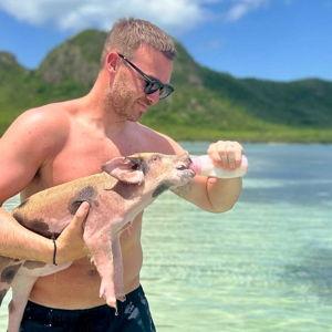 Antigua Pig Interaction & Beach Experience