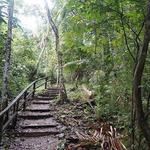 Hike - Parque Metropolitano