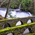 Whatcom Falls Park