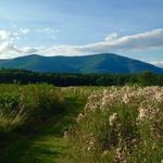 The Thorn Preserve Catskill Center