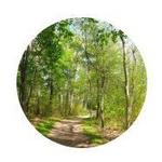 Maudslay State Park