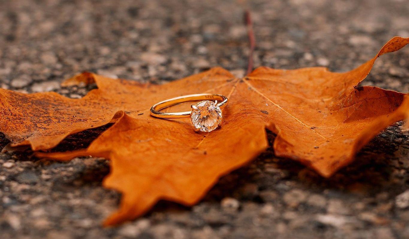 Hero Slideshow Image 1