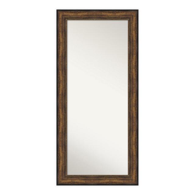 Amanti Art Ballroom 32-Inch x 68-Inch Framed Full Length Floor/Leaner Mirror in Bronze