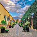 Ciudad de Tequila