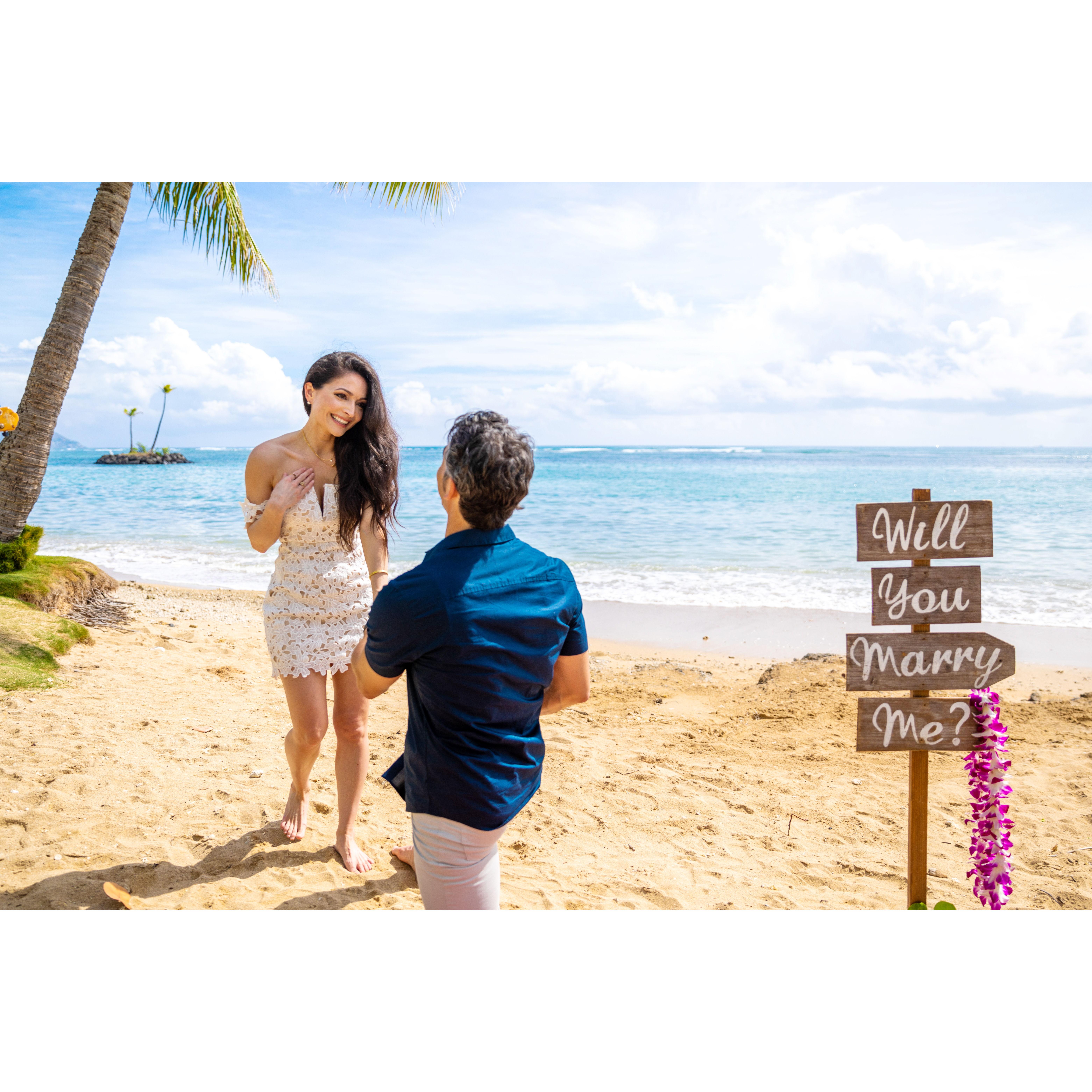 Proposal at Kahaluu Beach on O'ahu, Hawaii