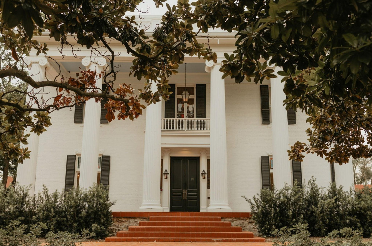 The Wedding Website of Shiloh Lewis and Emma Van Eenoo