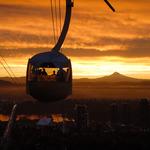 Ride the Tram