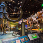 Perot Museum of Nature and Science