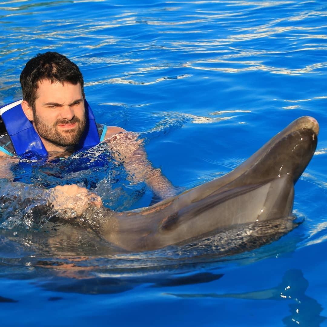 San Jose del Cabo dolphins