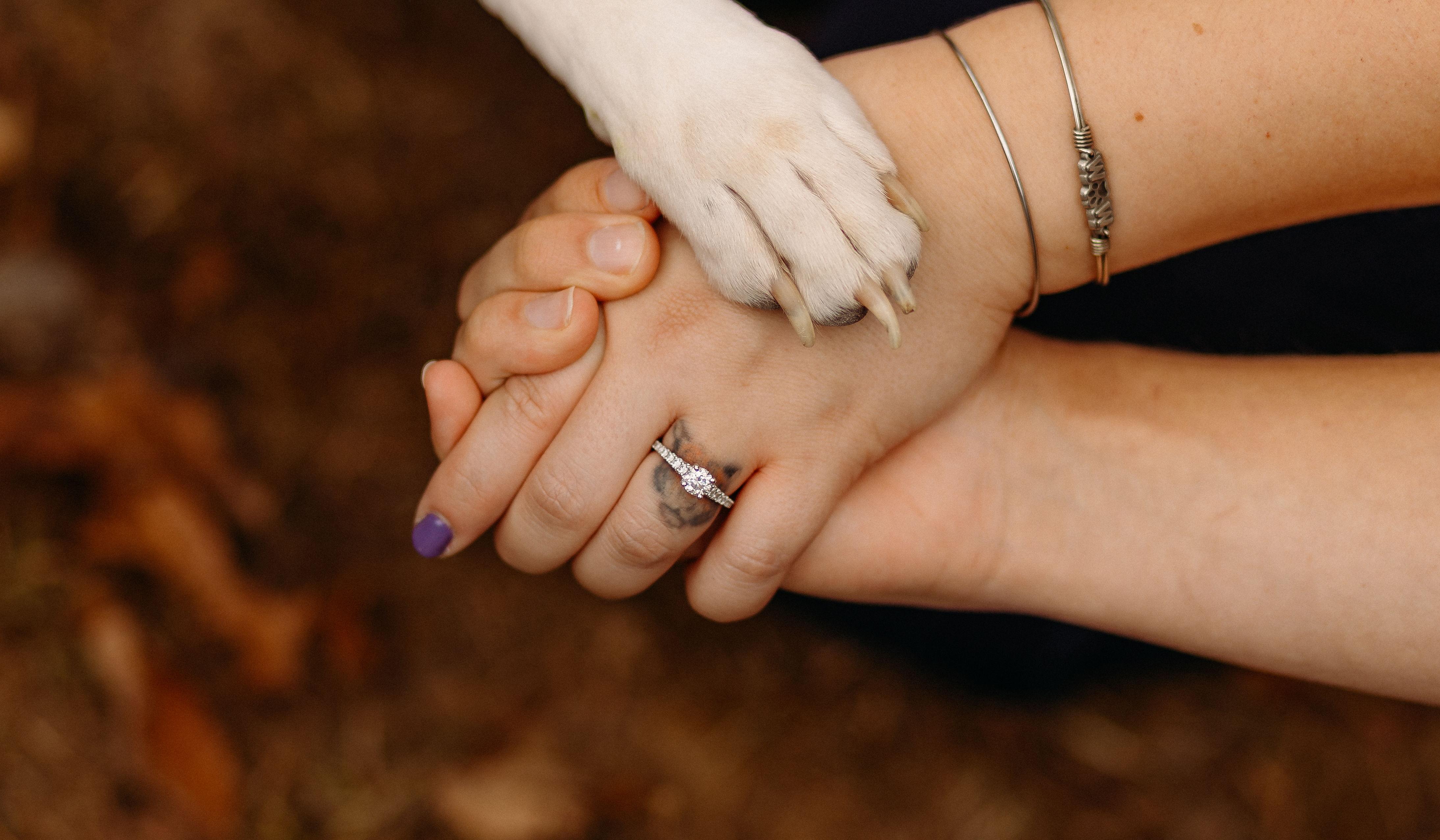 Hero Slideshow Image 1