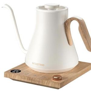 Fancy Electric Tea Kettle