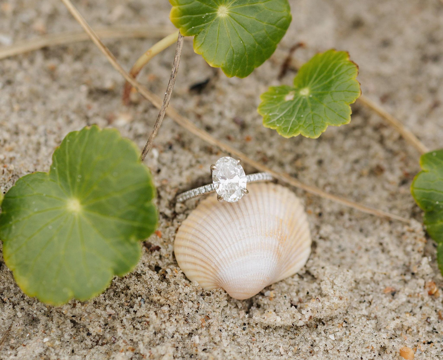 The Wedding Website of Stephanie Flores and Nathan Trueblood